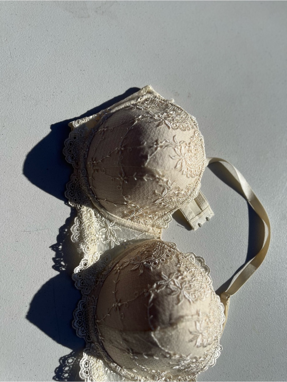 Lace Embroidered Push-Up Bra in Cream